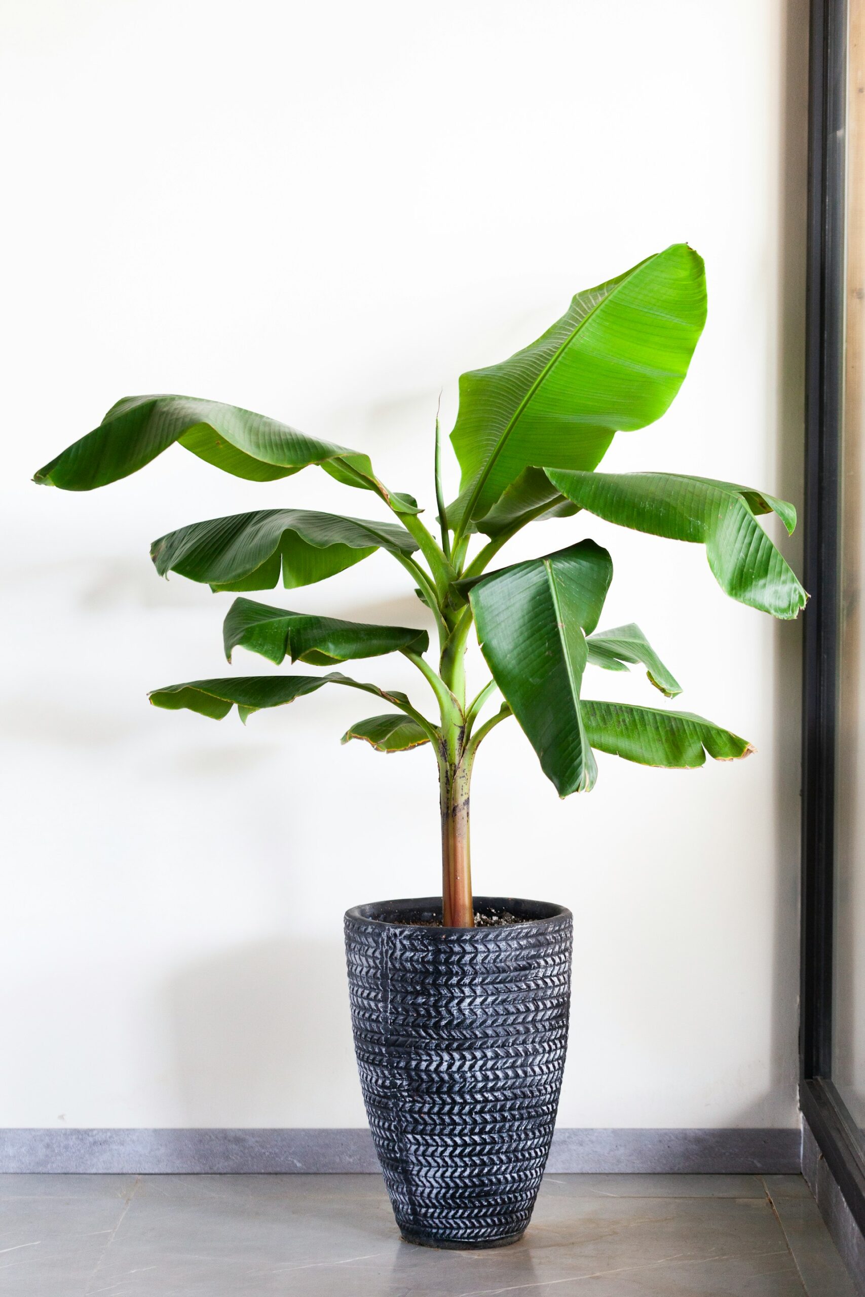 monaz-nazary-g2v0TXCXBsI-unsplash (1)